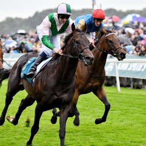 York | 65th John Smith's Cup | 13/7/24