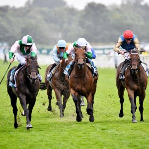 York | 65th John Smith's Cup | 13/7/24