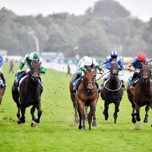 York | 65th John Smith's Cup | 13/7/24