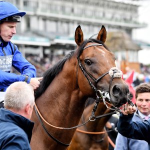 York | 65th John Smith's Cup | 13/7/24