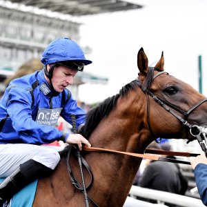 York | 65th John Smith's Cup | 13/7/24