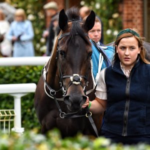 York | 65th John Smith's Cup | 13/7/24