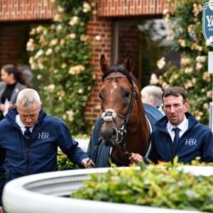 York | 65th John Smith's Cup | 13/7/24