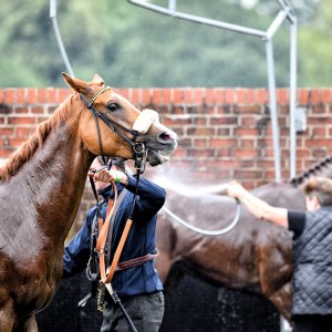 York | 65th John Smith's Cup | 13/7/24