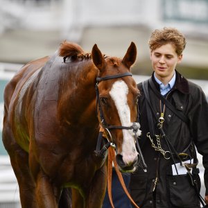 York | 65th John Smith's Cup | 13/7/24