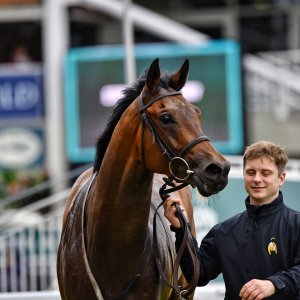 York | 65th John Smith's Cup | 13/7/24