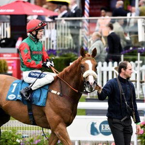 York | 65th John Smith's Cup | 13/7/24