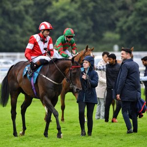 York | 65th John Smith's Cup | 13/7/24