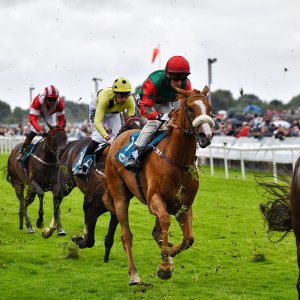 York | 65th John Smith's Cup | 13/7/24