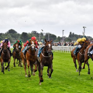 York | 65th John Smith's Cup | 13/7/24