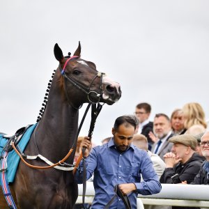 York | 65th John Smith's Cup | 13/7/24