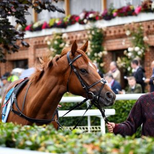 York | 65th John Smith's Cup | 13/7/24