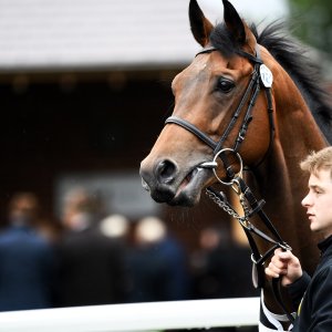 York | 65th John Smith's Cup | 13/7/24