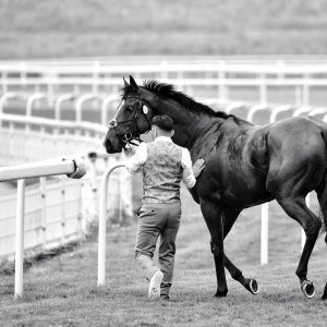 York | 65th John Smith's Cup | 13/7/24