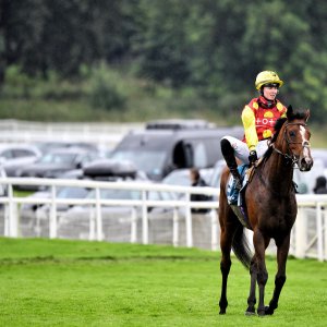 York | 65th John Smith's Cup | 13/7/24