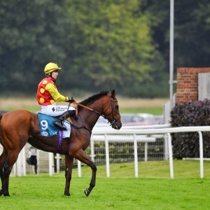 York | 65th John Smith's Cup | 13/7/24