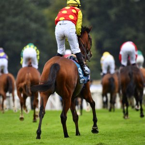 York | 65th John Smith's Cup | 13/7/24