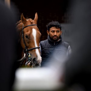 York | 65th John Smith's Cup | 13/7/24