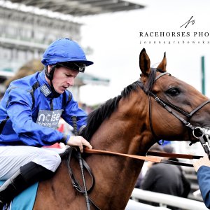 York | 65th John Smith's Cup | 13/7/24