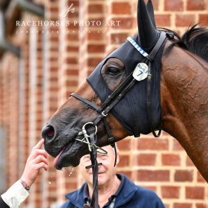 York | 65th John Smith's Cup | 13/7/24