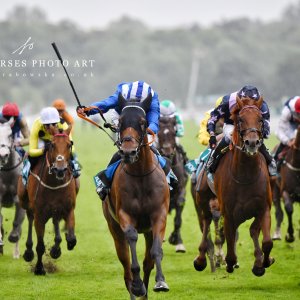 York | 65th John Smith's Cup | 13/7/24