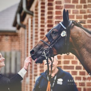 York | 65th John Smith's Cup | 13/7/24