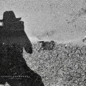 Barbados, Caribbean Island