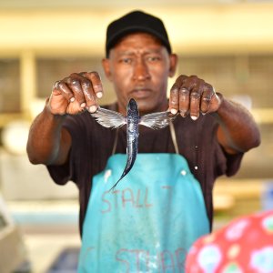 Barbados, Caribbean Island