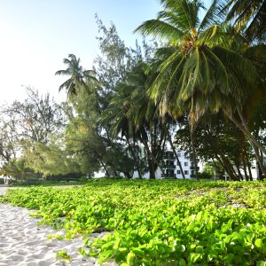 Barbados, Caribbean Island