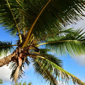 Barbados, Caribbean Island