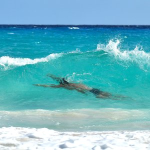 Barbados, Caribbean Island