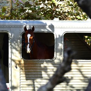 Barbados, Caribbean Island