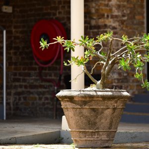 Barbados, Caribbean Island